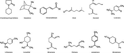 Toxicity and synergistic activity of compounds from essential oils and their effect on detoxification enzymes against Planococcus lilacinus